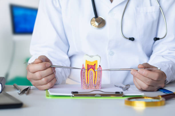 Best Emergency Dental Care for Trauma or Injury in Bristol, IN